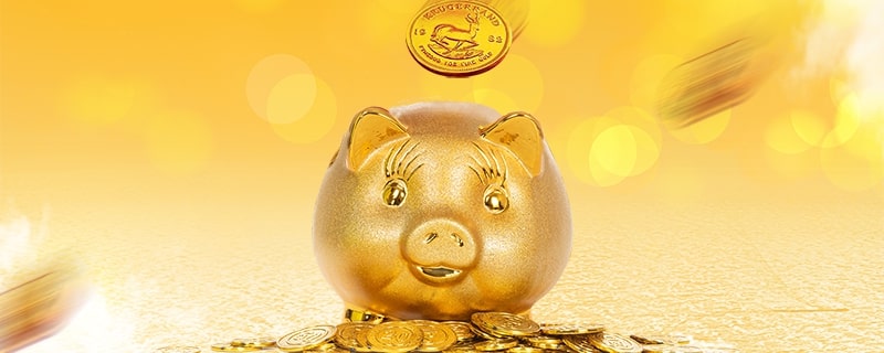 网络申请信用卡足不出户在线填写资料轻松搞定